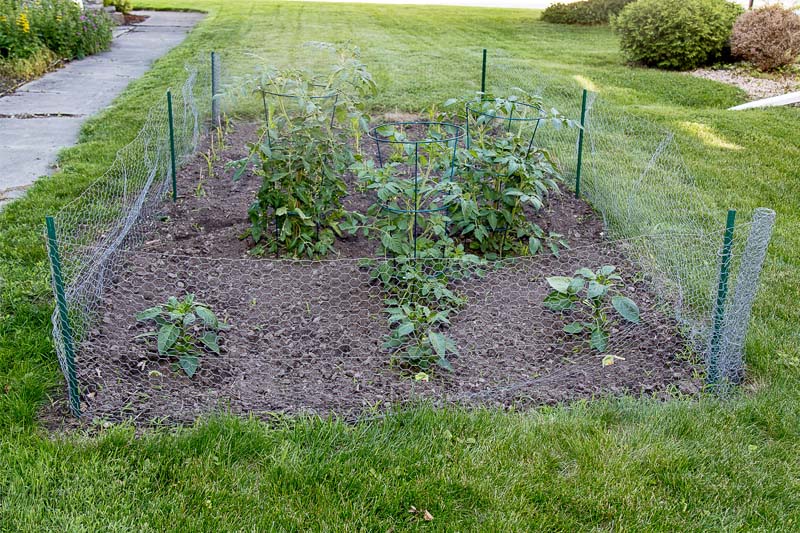 Facility Garden - Exodus House